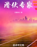 潜伏专家