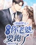 双面伊人：陆少，你老婆要跑了