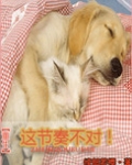 [重生]这节奏不对！
