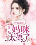 替嫁甜婚：爹地，妈咪太撩了