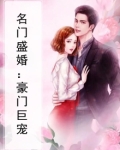 名门盛婚：豪门巨宠