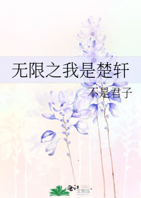 无限之我是楚轩