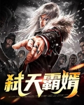 弑天霸婿
