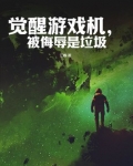觉醒游戏机,被侮辱是垃圾
