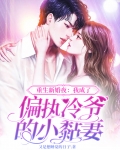 重生新婚夜：我成了偏执冷爷的小黏妻