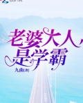 老婆大人是学霸