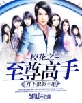 校花之至尊高手