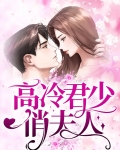 高冷君少俏夫人