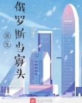 重生俄罗斯当寡头