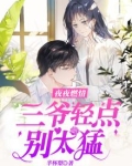 夜夜燃情：三爷轻点，别太猛