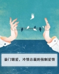 豪门霸爱，冷情总裁的强制爱情