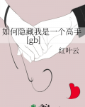 如何隐藏我是一个高手[gb]