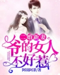 二婚新妻:爷的女人不好惹