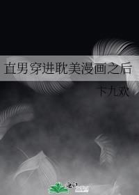 当直男穿越到晋江文是小说吗