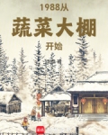 1988从蔬菜大棚开始