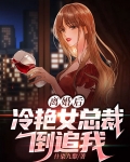 离婚后，冷艳女总裁倒追我