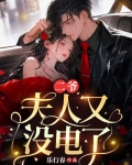 二爷，夫人又没电了