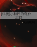 [红楼]小鞋匠的奇妙之旅
