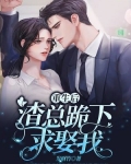 重生后，渣总跪下求娶我