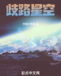 歧路星空