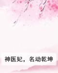 神医妃,名动乾坤