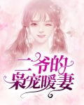 二爷的枭宠暖妻