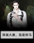穿越大唐，我是驸马