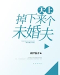 天上掉下来个未婚夫