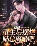 夫人重生后摆烂，陆总离婚吧