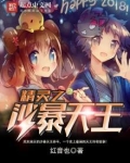精灵之沙暴天王
