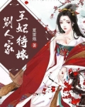 王妃待嫁别人家