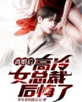 离婚后，高冷女总裁后悔了