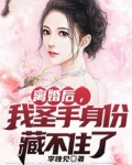离婚后，我圣手身份藏不住了