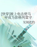 [快穿]披上电击使马甲成为彭格列雷守