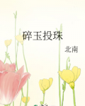 碎玉投珠