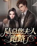 陆总您夫人跑路了