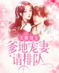 天降双宝：爹地宠妻请排队