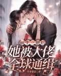 偷生三崽后,她被大佬全球通缉