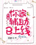 衍神,你家辅助已上线!