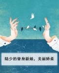 陆少的替身新娘,美丽娇柔