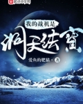 我的战机是洞天法宝