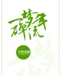 一梦碎流年
