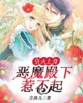 引火上身,恶魔殿下惹不起