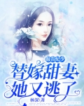 报告纪少，替嫁甜妻她又逃了