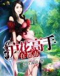 护花高手在都市