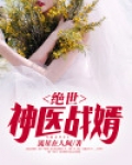绝世神医战婿