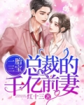 一胎三宝：总裁的千亿前妻
