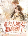 薄总,夫人她又想离婚了