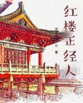 红楼正经人