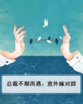 总裁不期而遇：意外嫁对郎